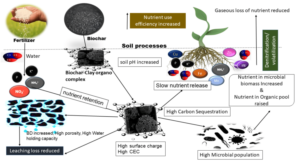 Biochar reveals a multifaceted and promising solution